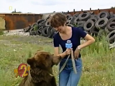 Медведь напал на журналистку
