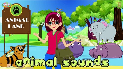 Animal Sound for Children   Bear Sound, Lion Sound and Wolf Sound   Kids Hut