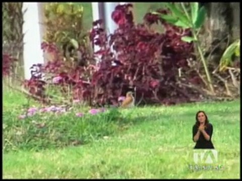 Gastronomía y belleza de parajes en Vilcambamba