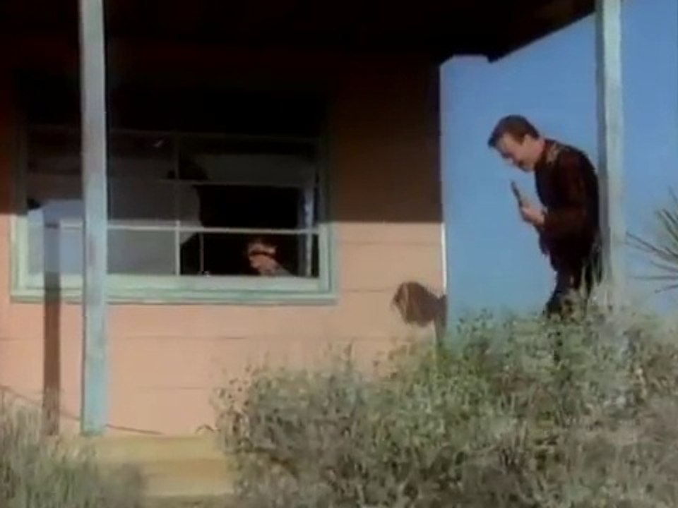 et des comme ça , Hein ??