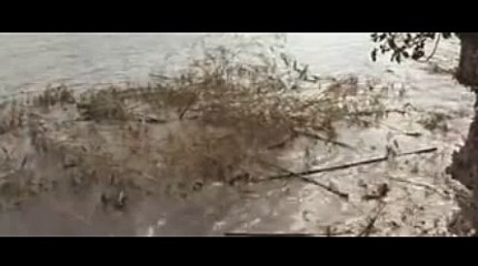 로얄시티바카라べ▽..TNT900、COM..♡ぺ바카라후기と바카라강원랜드