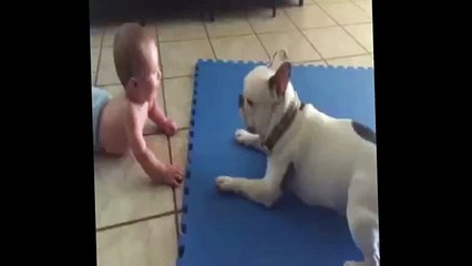 Funny Baby Videos - Baby loves to play with dogs - Funny Video (Funny Videos 720p)