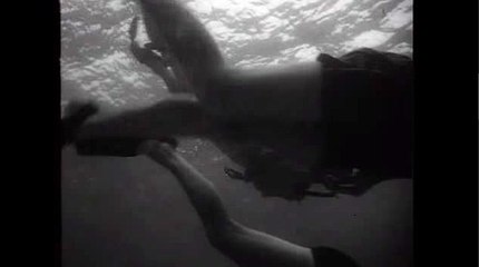 사이트카지노●~ KOP77,COM ~△바카라추천사이트↗호게이밍