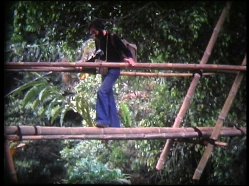 Indonésie Sulawésie randonnée  chez les  toradjas en 1977  1ère partie