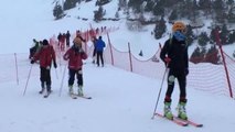Ergan Uluslararası Dağ Kayağı Yarışması Yapıldı