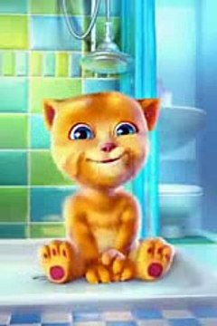Talking Tom Cat Punjabi Billi Very Funny Video