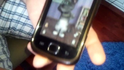 Râs isteric cu pisica vorbitoare ( Râs TV _ )