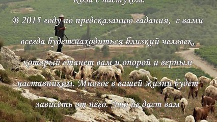 Гадание на 2015 год, тест предсказание на год Козы