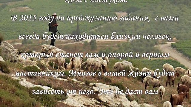 Гадание на 2015 год, тест предсказание на год Козы