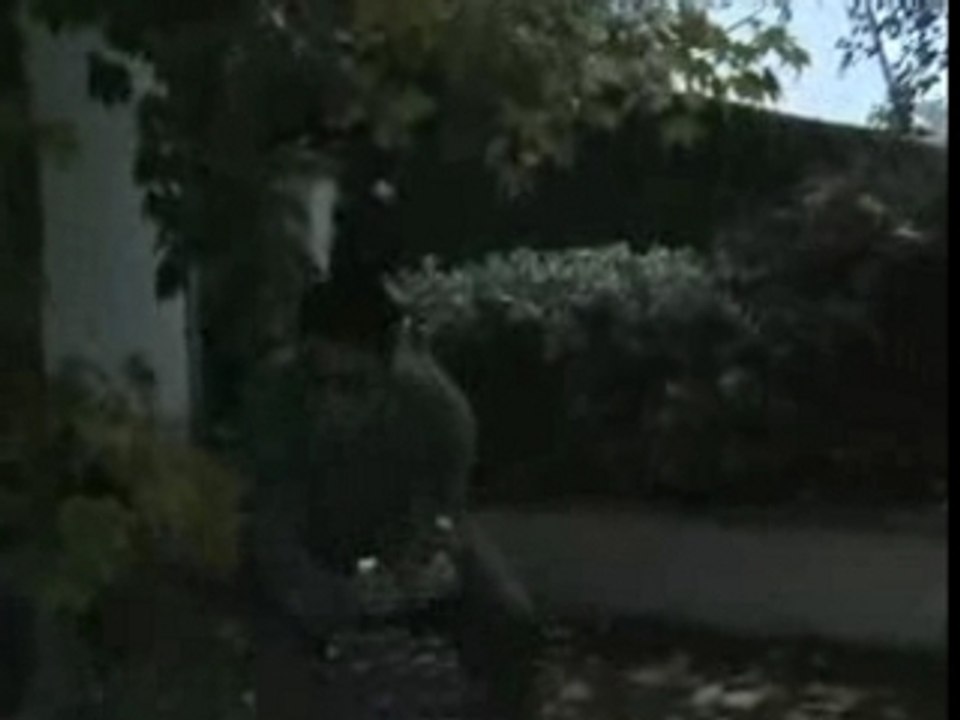 parodie de counter strike/cs