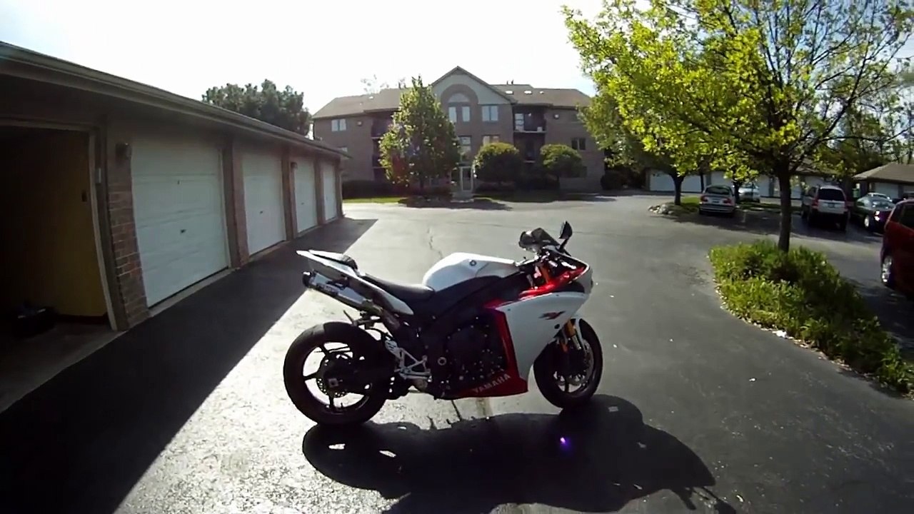 Motorcycle vs Deer Yamaha R1 Cuts Deer in Half, Motorcycle Crash Aftermath