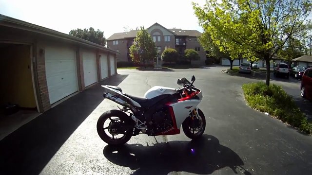 Motorcycle vs Deer Yamaha R1 Cuts Deer in Half, Motorcycle Crash Aftermath