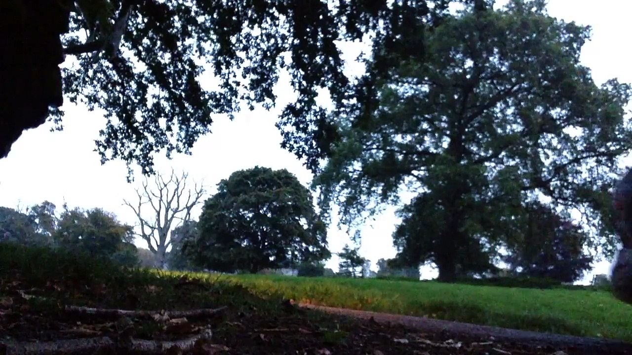 Clio 1.2 TCE SX SOUND & acceleration