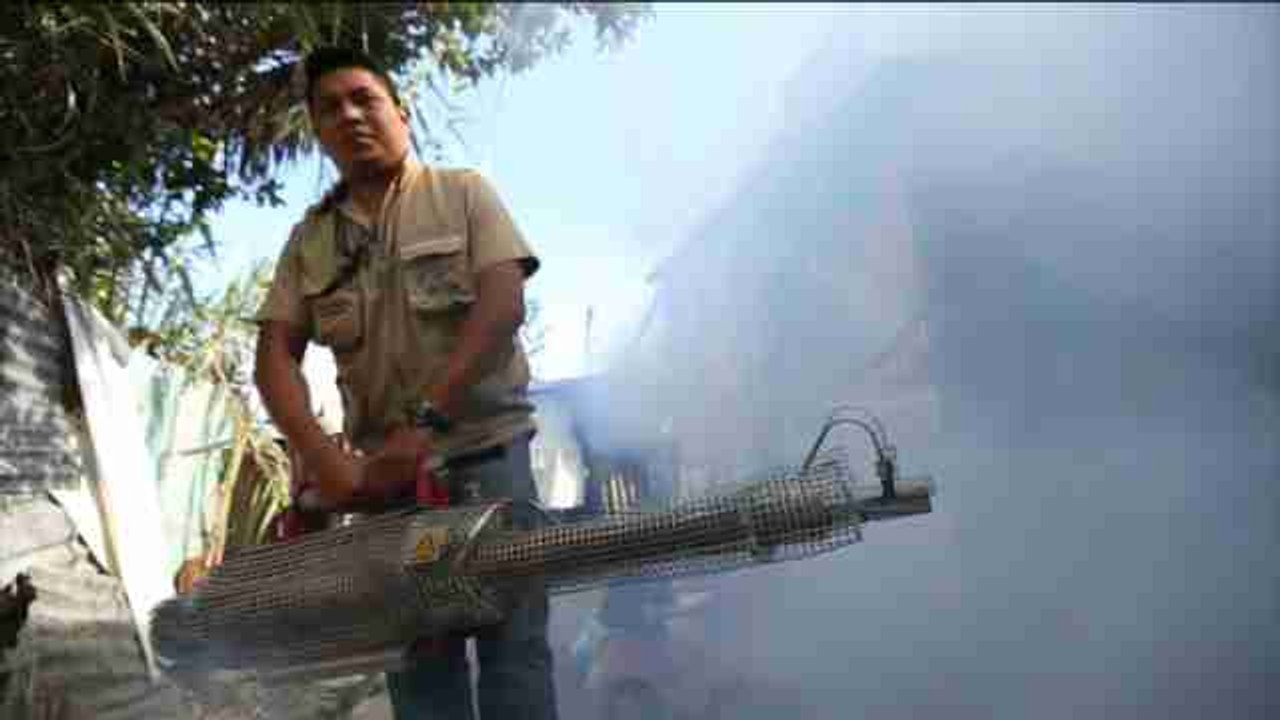 Suben a 112 los casos de zika en Guatemala, 7 de ellos en mujeres embarazadas