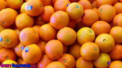 Les Véhicules Font Vroom | Compil pour Enfants avec des Voitures, Camions, Bus, Bateaux &