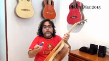 How to use Oasis humidifiers on Andalusian Simplicio flamenco guitars / Q & A Ruben Diaz Spain CFG