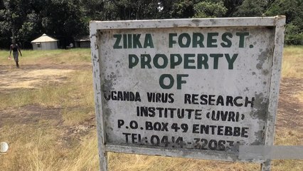 At the source of the Zika virus, scientists remain vigilant