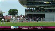 Darren Sammy Perfect Reply To Shane Watson HD