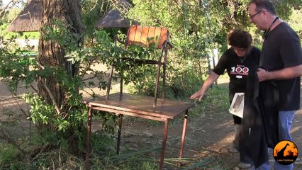 Baby Squirrel Saved From Death in Kruger - 14 December 2012 - Latest Sightings