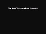(PDF Download) The Rose That Grew From Concrete PDF