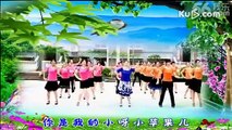 小苹果mv广场舞兰玉广场舞小苹果（健身舞蹈） gangnam style mv