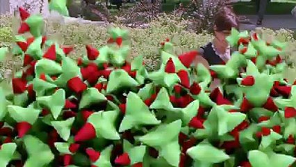 VID-20160201-WA0034