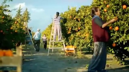 Tropicana Portakal Muharrem Emmi Reklam