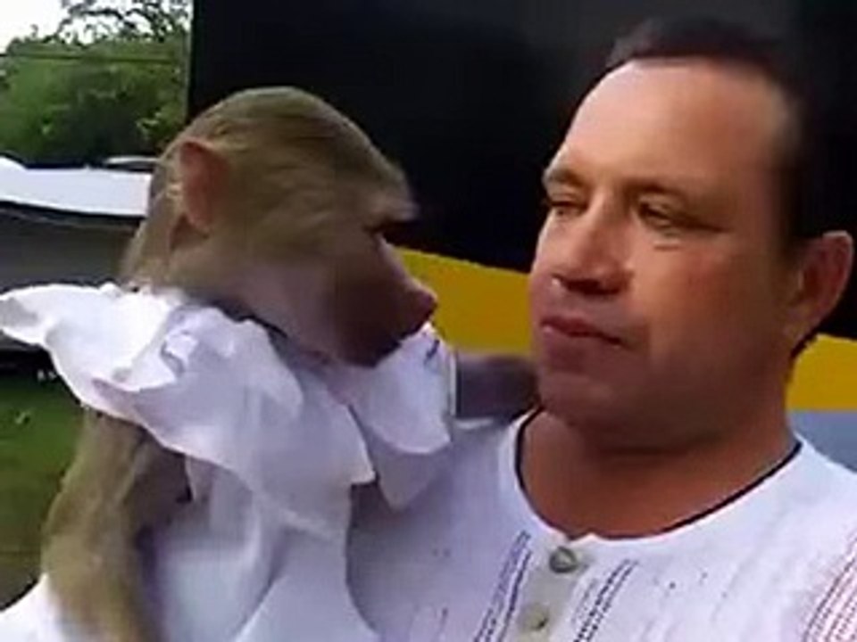 Amazing video -
