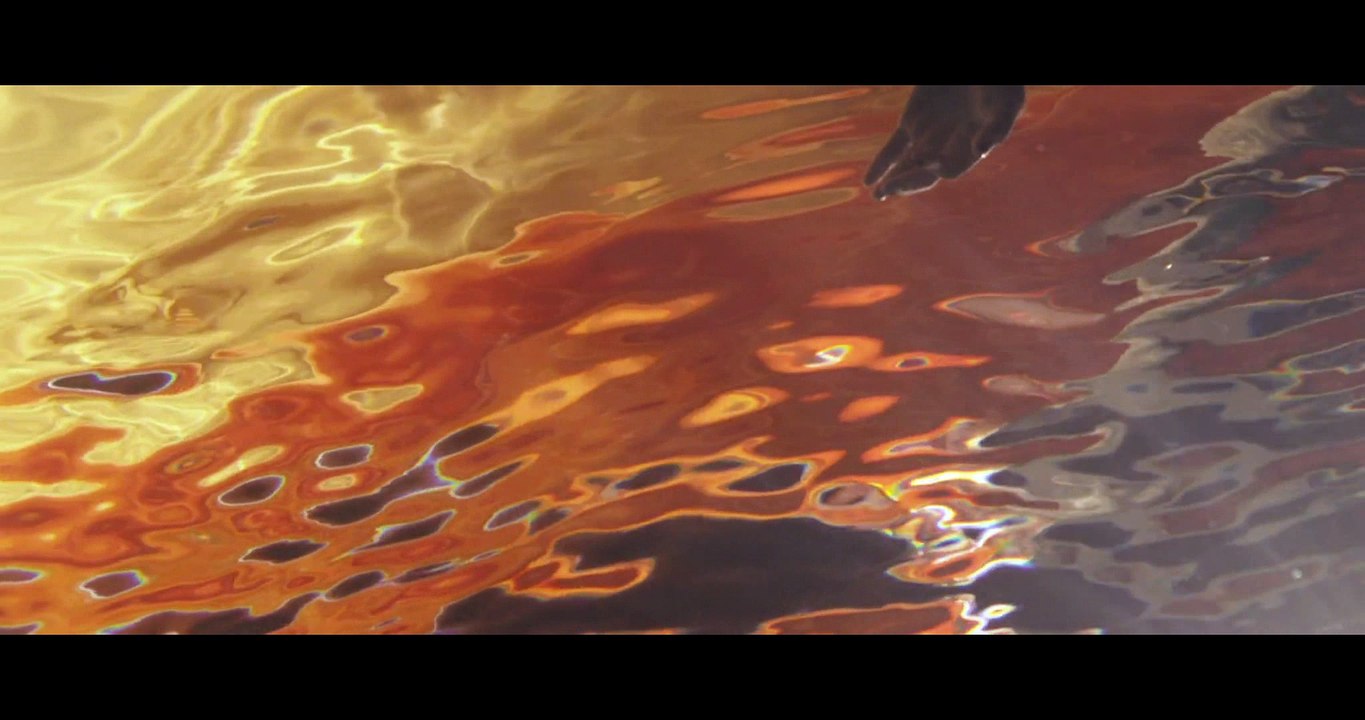 Dead together in the water (Mashup by The Homogenic Chaos)