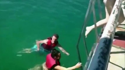 Дельфин нашел себе девушку