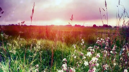 เหงา คิดถึง รอ