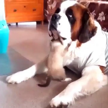 Отношения ❤️