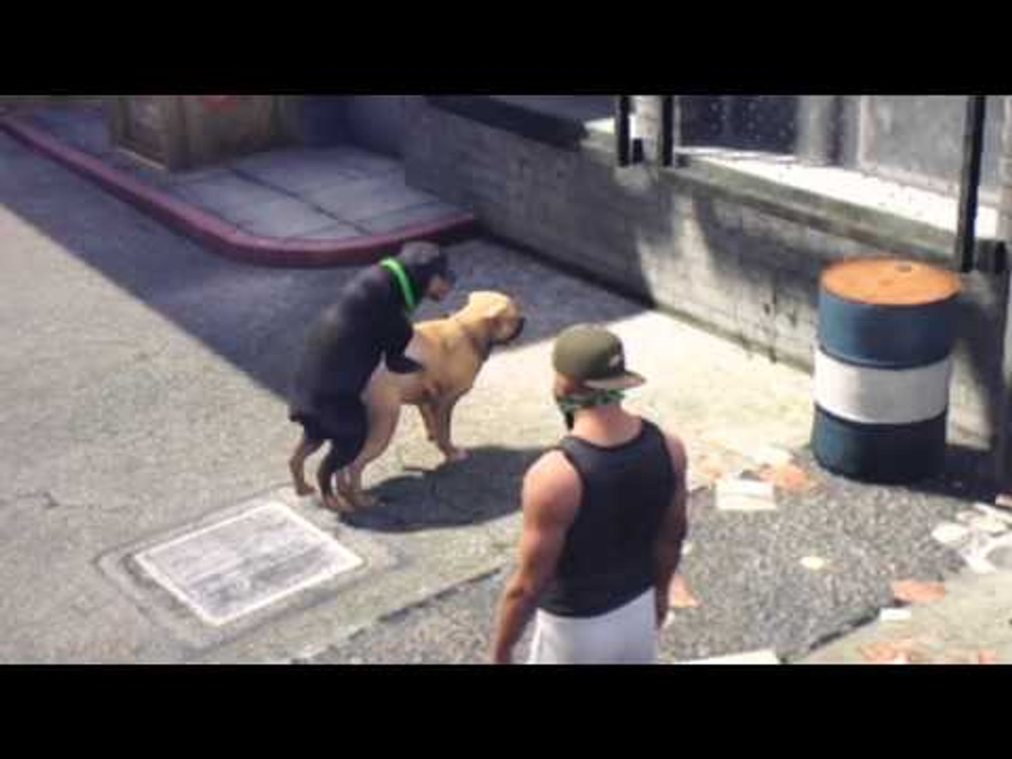 iFruit App - Chop The Dog : GRAND THEFT AUTO 5 - iPhone 