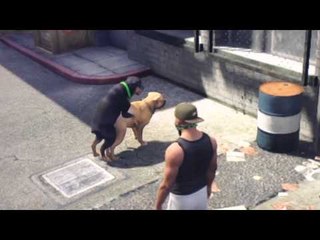 GRAND THEFT AUTO V: CHOP performs the DOGGY STYLE