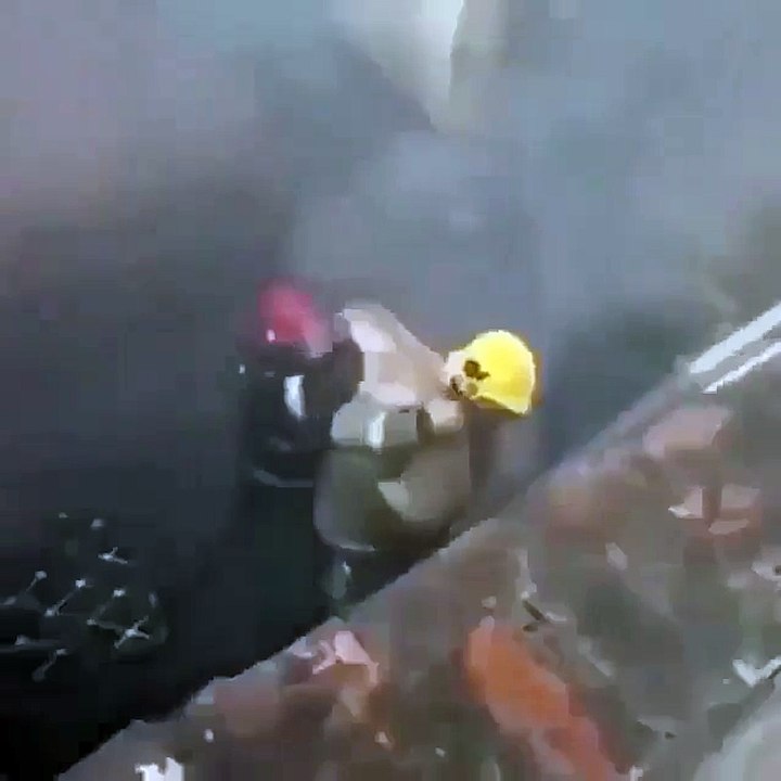 Достойны уважения