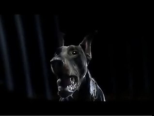 BMW M3 commercial Beast