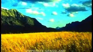 Biomes - Temprate Grassland - Part 1 Full animated cartoon movie hindi dubbed movies carto
