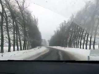 Природные аномалии и необычные деревья