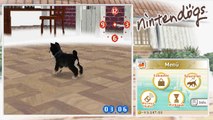 Lets Play Nintendogs Part 11: Ein neues Familienmitglied!