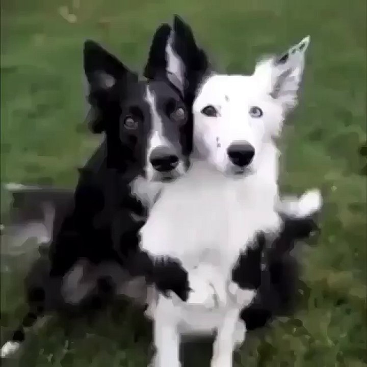 Отмечайте таких же любителей фоткатся