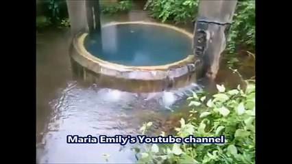 WhatsApp NonStop SuperFast Funny Videos