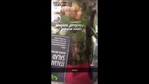 Un araignée mortelle enfermée dans un sachet de salade en supermarché