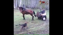 This 1 Horsepower buggy can do some killer donuts