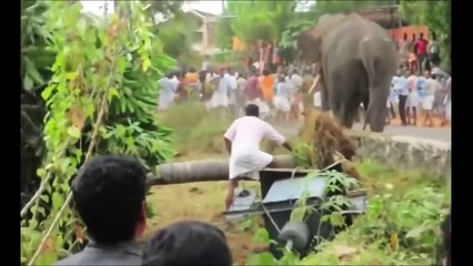 WhatsApp NonStop SuperFast Funny Videos