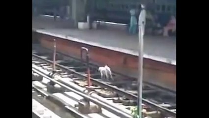 WhatsApp NonStop SuperFast Funny Videos