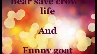 Bear saves crow and funny goat,funny videos,funny animals ,lol, funny clips, comedy movies, funny pictures, funny images, funny pics,funny