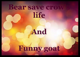 Tải video: Bear saves crow and funny goat,funny videos,funny animals ,lol, funny clips, comedy movies, funny pictures, funny images, funny pics,funny