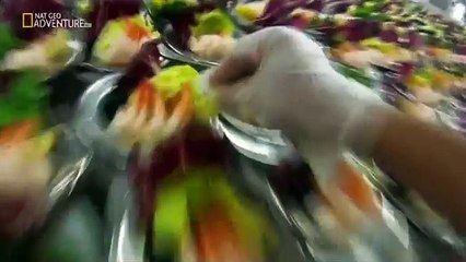 The Worlds Biggest Cruise Ship Full Documentary – Megafood