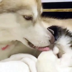 Милостей вам на вечер❤️