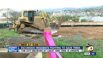 Escondido residents fighting to save trees